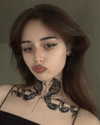 pavuk1_0 Altpins Profile Picture