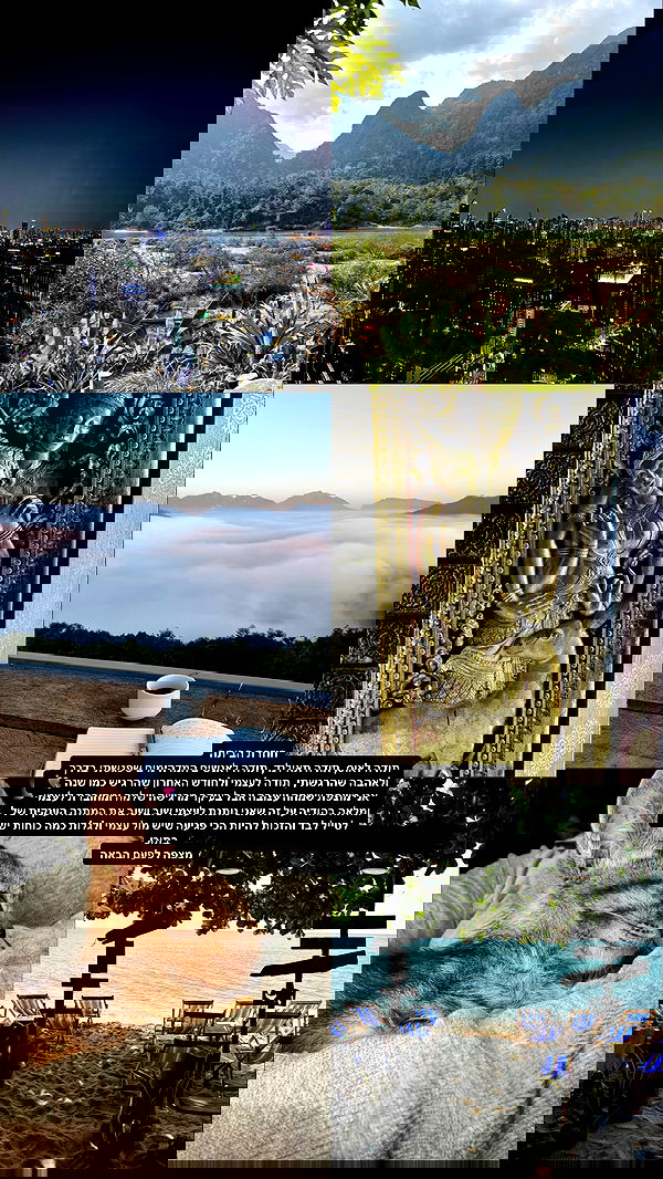 yam_adler yam_adler archive image