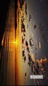 nikoleta.milenova Altpins Profile Picture