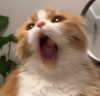 mariagabrielasantos Altpins Profile Picture