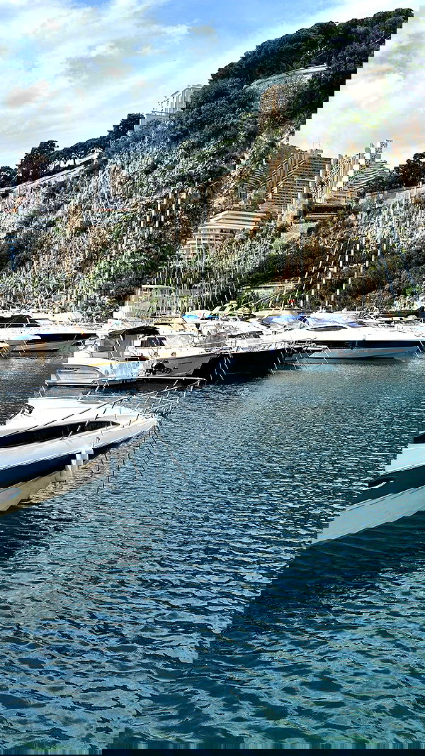 taylor.creeden taylor.creeden archive image