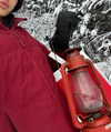 leonanaomii Altpins Profile Picture