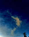 ohheyanastasia Altpins Profile Picture