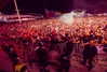 avrillavigne Altpins Profile Picture