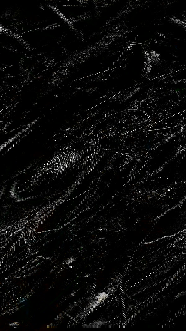 romy_ayalla_lavi romy_ayalla_lavi archive image