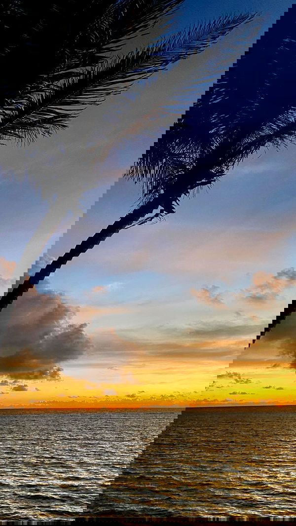 manjolamuriqi manjolamuriqi archive image