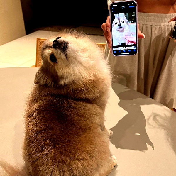 sssniperwolf instagram image archive image