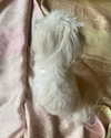 elizabethcampbelljones Altpins Profile Picture