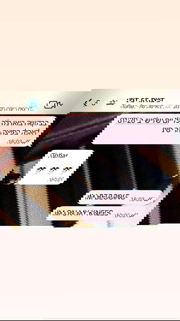 moonliliaght moonliliaght archive image