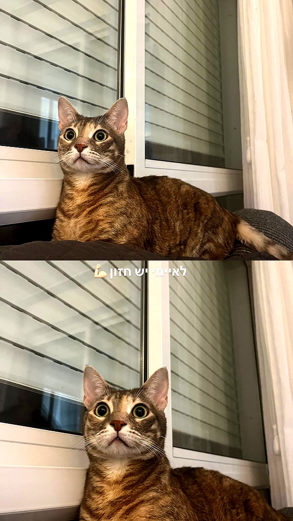 Archived image from @notchicore on Instagram