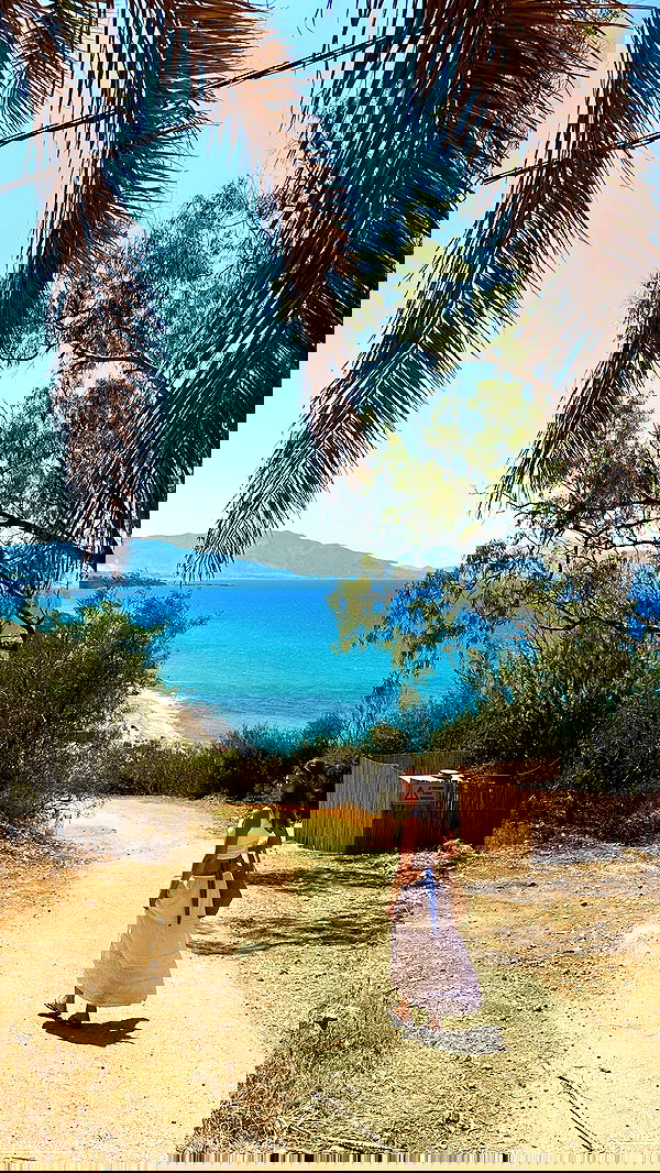 taylor.creeden taylor.creeden archive image