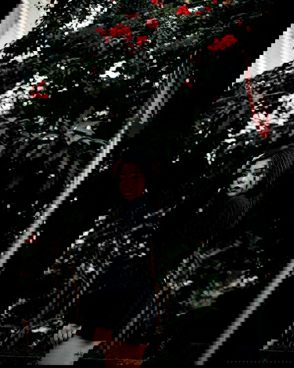 ting851204 ting851204 archive image