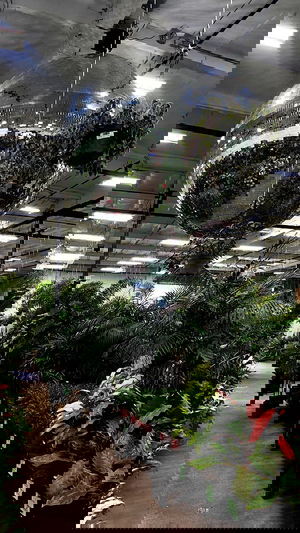 u1ltra u1ltra archive image