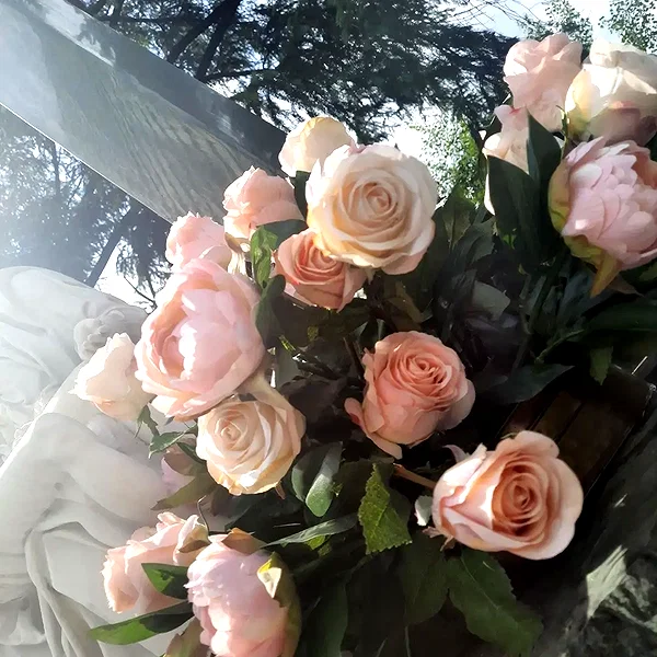 Archived image from @ssarnvd on Instagram