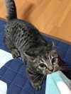 machine_mommy Altpins Profile Picture