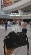 nagichan_doll Altpins Profile Picture