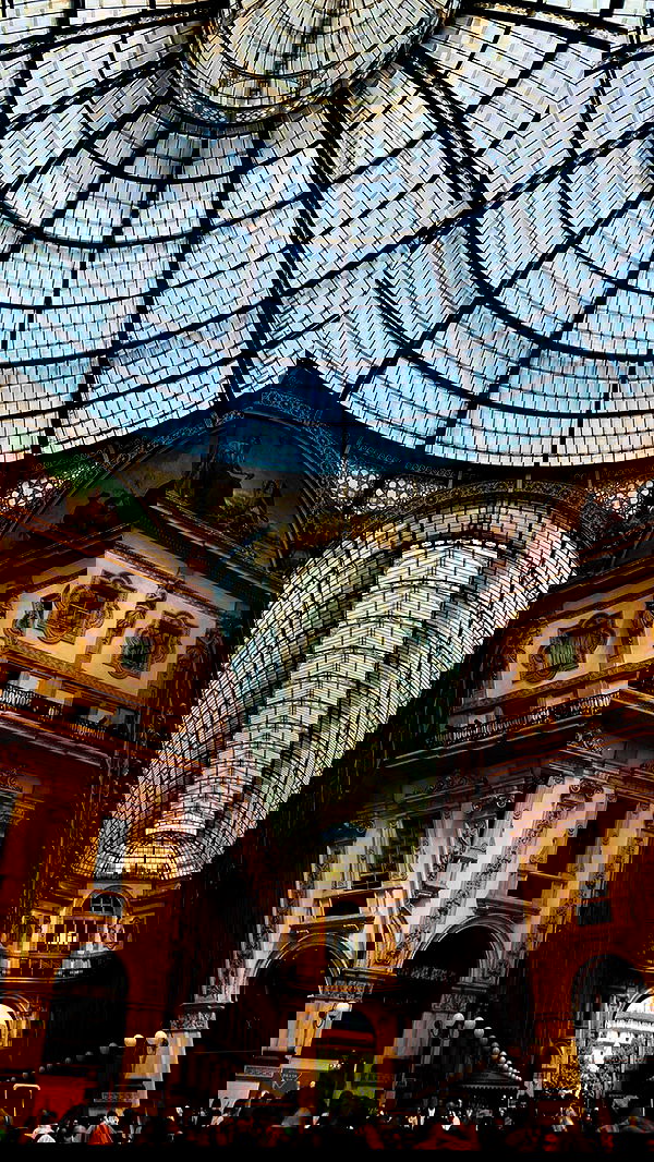 taylor.creeden taylor.creeden archive image