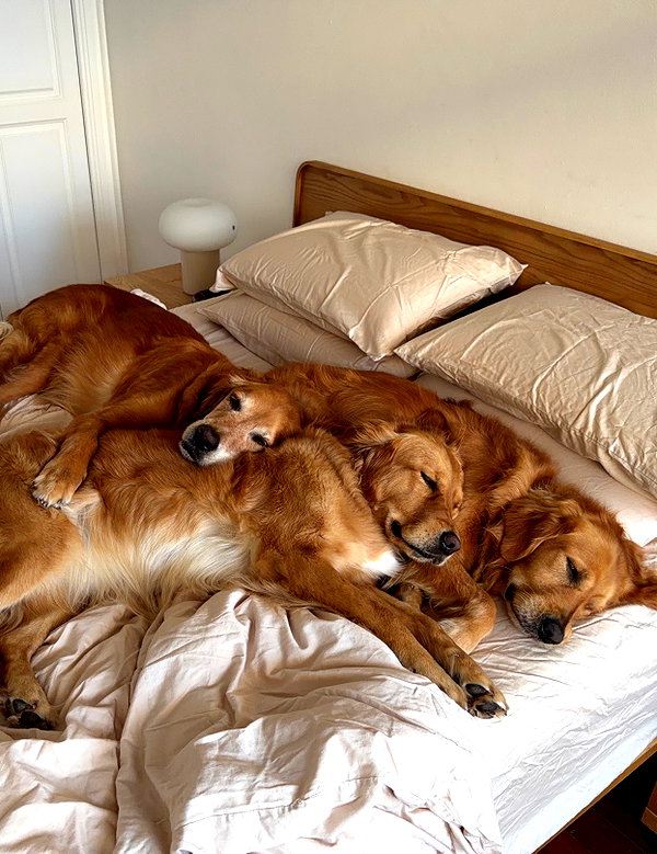 Archived image from @edenharper on Instagram