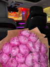 ariana_vomi Altpins Profile Picture