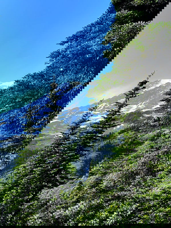 thelizzyporter thelizzyporter archive image