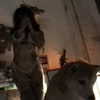 zommmbri Altpins Profile Picture