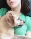 alexandradaddario Altpins Profile Picture