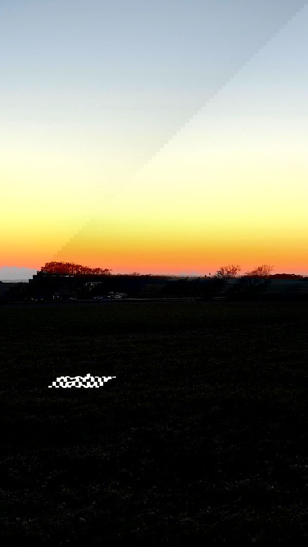 bymonamarie bymonamarie archive image