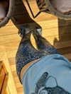 ninastodden Altpins Profile Picture