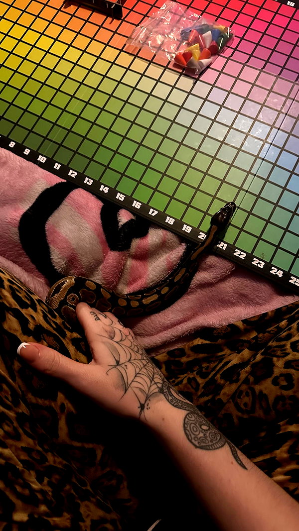 livknock instagram image archive image