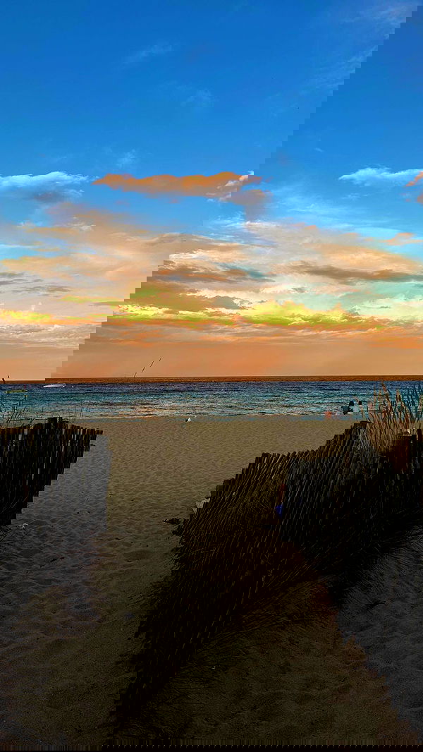 taylor.creeden taylor.creeden archive image