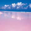 ashleybenson Altpins Profile Picture