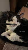 shawtysuzi Altpins Profile Picture