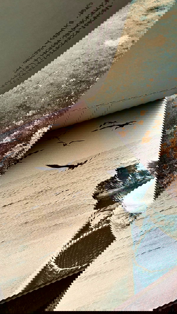 eusandyyh eusandyyh archive image