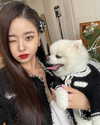 dear.zia Altpins Profile Picture