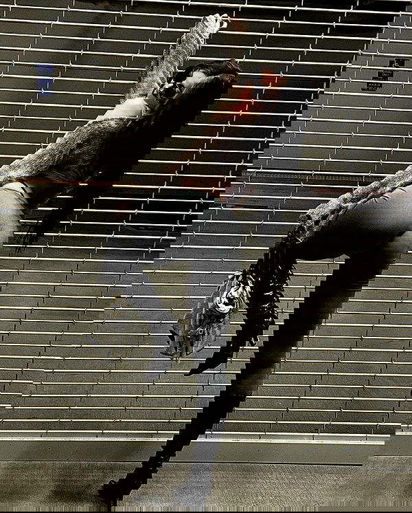 u1ltra u1ltra archive image