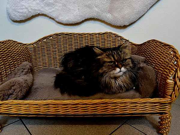 leni.bahr instagram image archive image