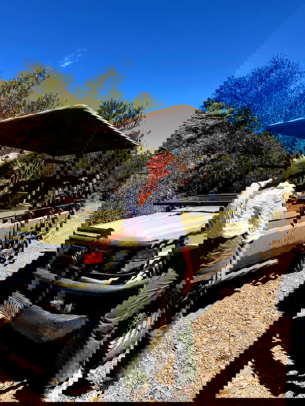 taylor.creeden taylor.creeden archive image