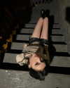 suzynorthway Altpins Profile Picture
