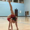 ellianawalmsley Altpins Profile Picture