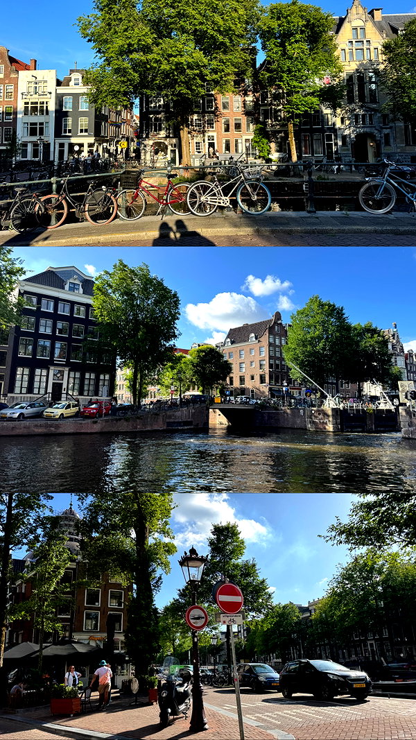 brontesheppeard instagram image archive image