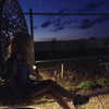 alishevs Altpins Profile Picture