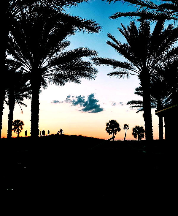 sadieemckennaa instagram image archive image