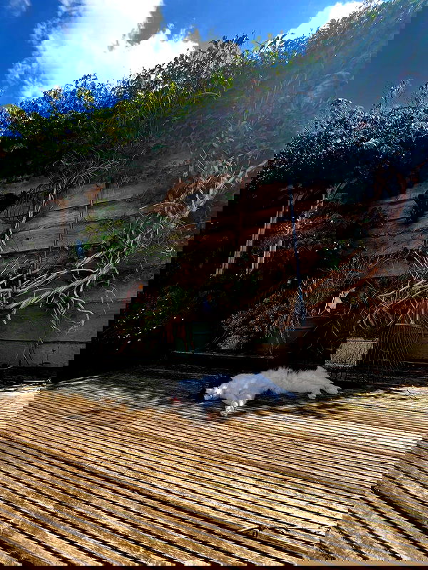 kitty.elliss kitty.elliss archive image