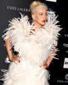 xtina Altpins Profile Picture