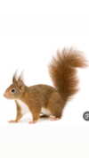 babynympho_archive Altpins Profile Picture