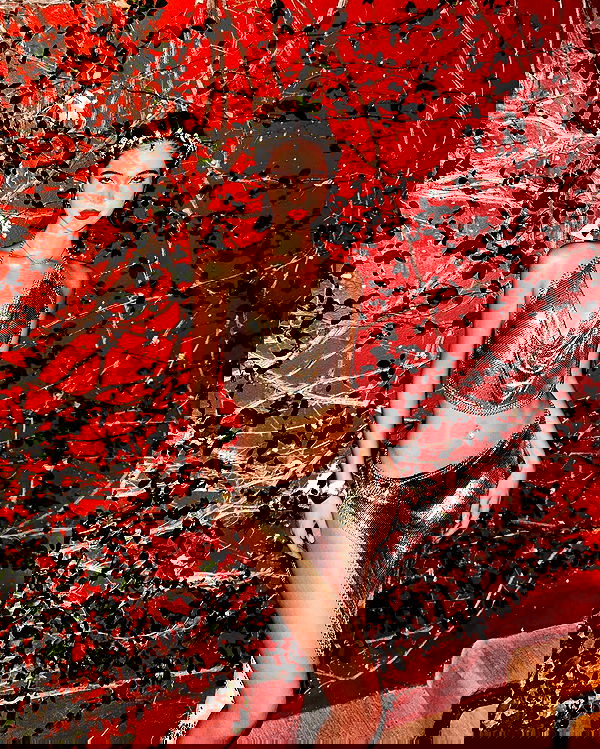 taylor.creeden taylor.creeden archive image