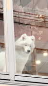 1uvgabi Altpins Profile Picture