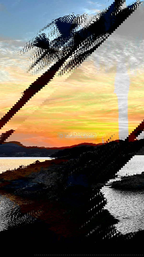 taylor.creeden taylor.creeden archive image