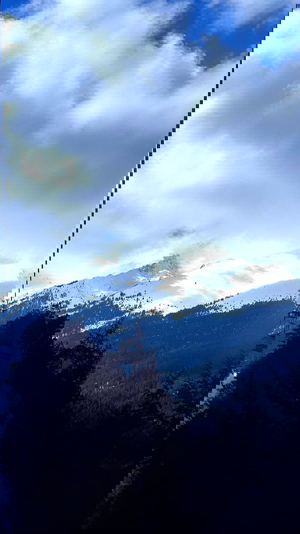 natalllluli natalllluli archive image