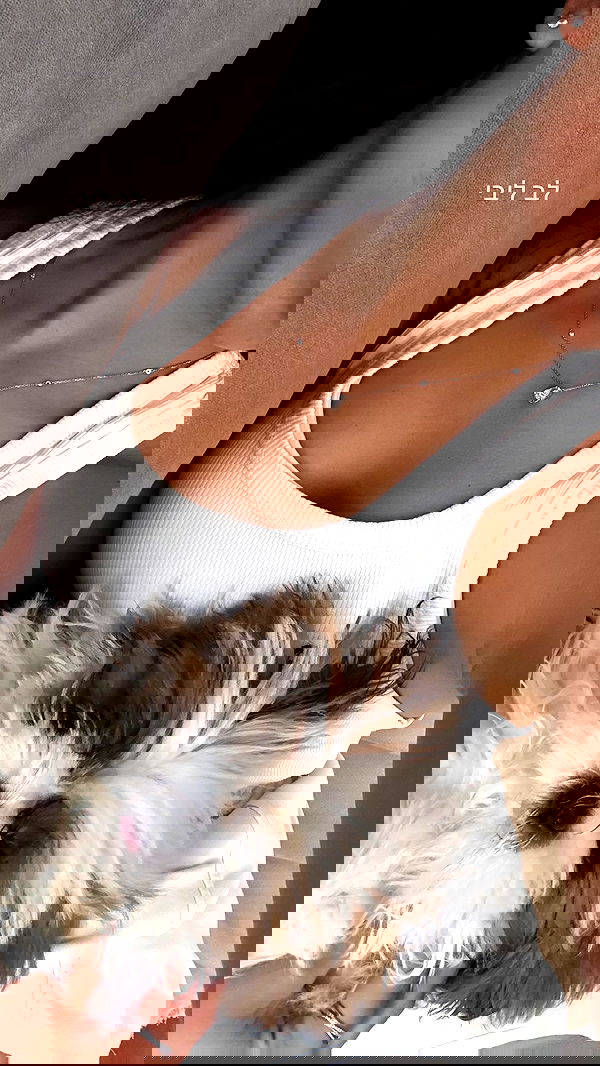 noammalka___ noammalka___ archive image